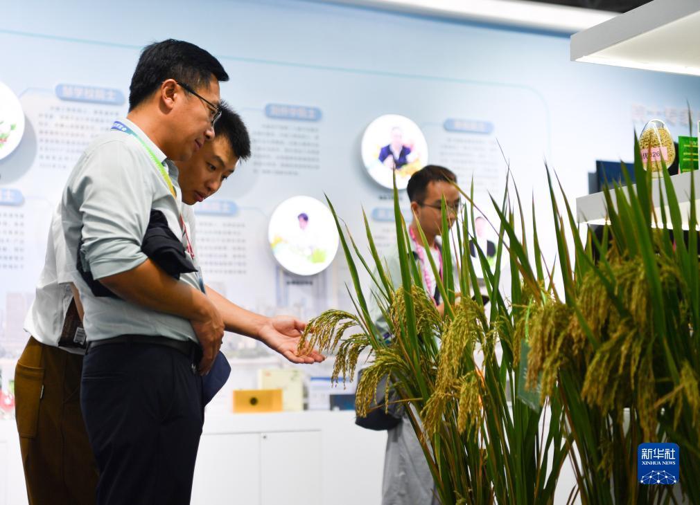 捕鱼游戏赚钱版下载
